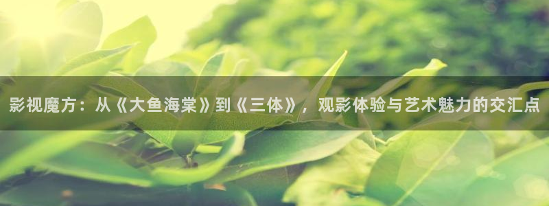 紅葉影院免費觀看電視劇：影視魔方：從《大魚海棠》到《三體》，觀影體驗與藝術魅力的交匯點