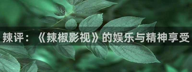 西安紅葉影城：辣評：《辣椒影視》的娛樂與精神享受