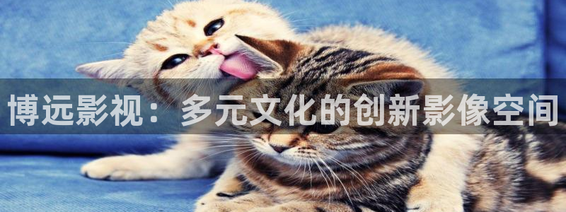 六安紅葉電影院今日影訊：博遠影視：多元文化的創新影像空間