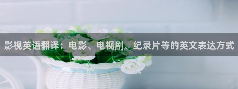 紅葉影院app：影視英語翻譯：電影、電視劇、紀錄片等的英文表達方式